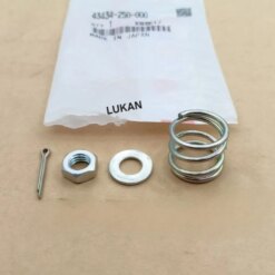 Bộ ốc lò xo pass chữ Y, má đùm xe DREAM Thái zin Honda 43434-250-000