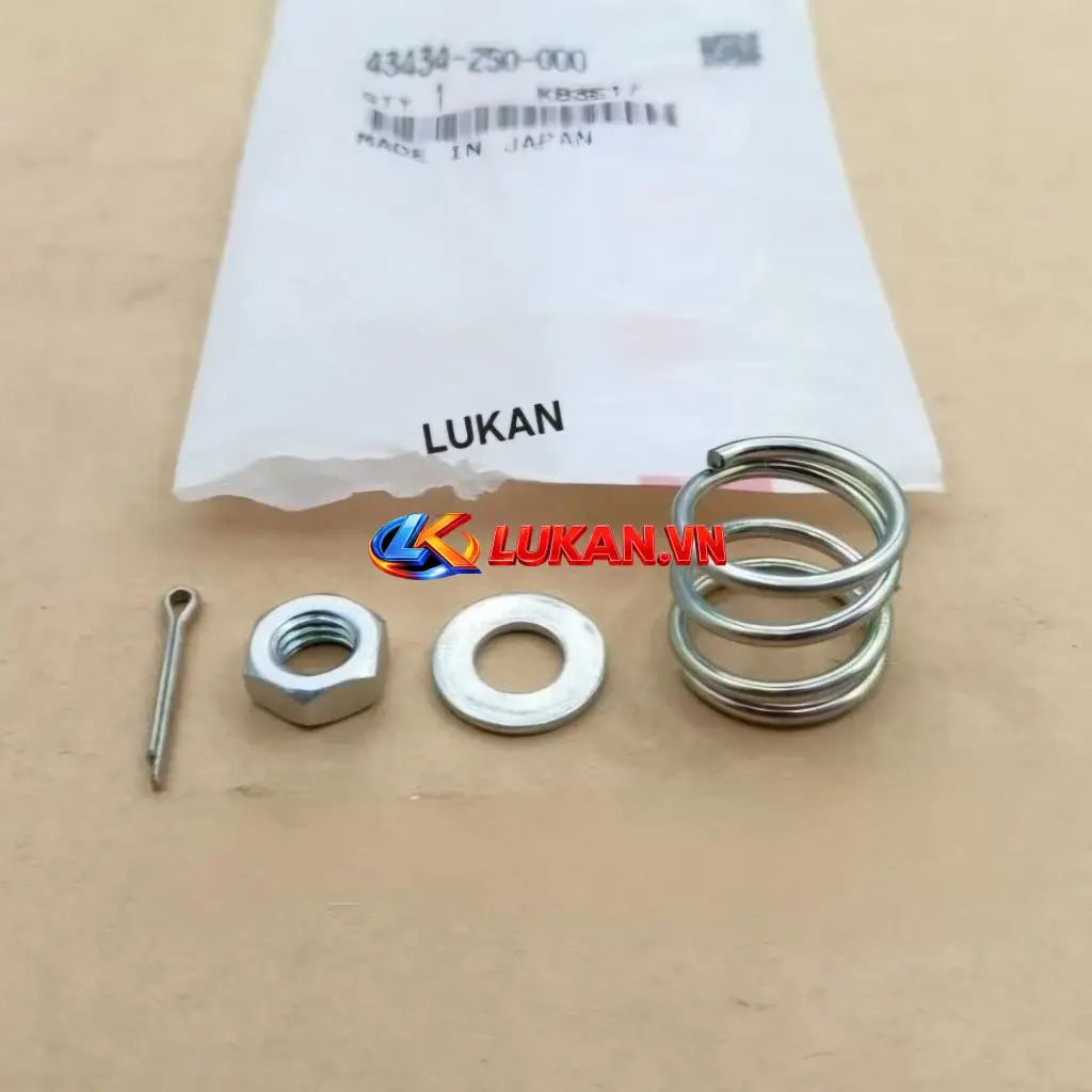 Bộ ốc lò xo pass chữ Y, má đùm xe DREAM Thái zin Honda 43434-250-000