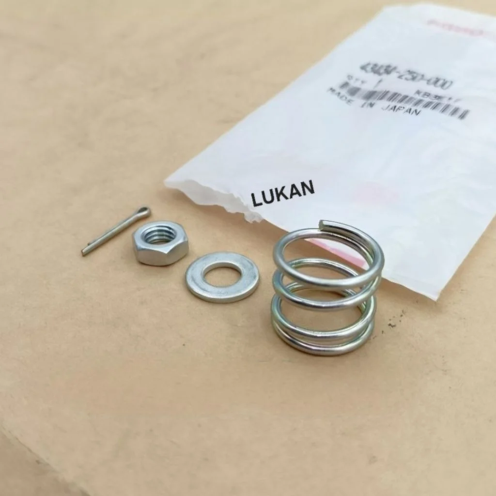 Bộ ốc lò xo pass chữ Y, má đùm xe DREAM Thái zin Honda 43434-250-000 - Ảnh 4