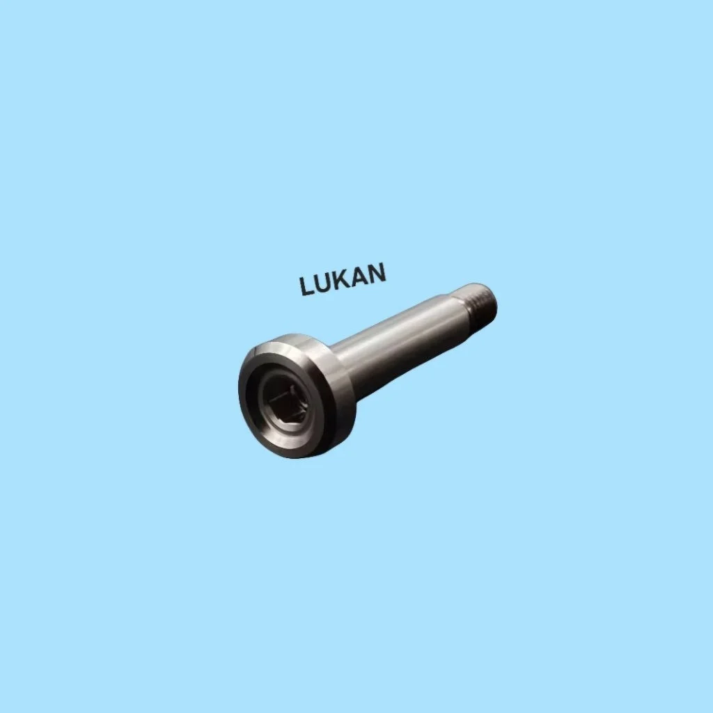 Ốc, bu lông lắp gáy nhựa đầu, bợ cổ xe DREAM inox salaza - Ảnh 3