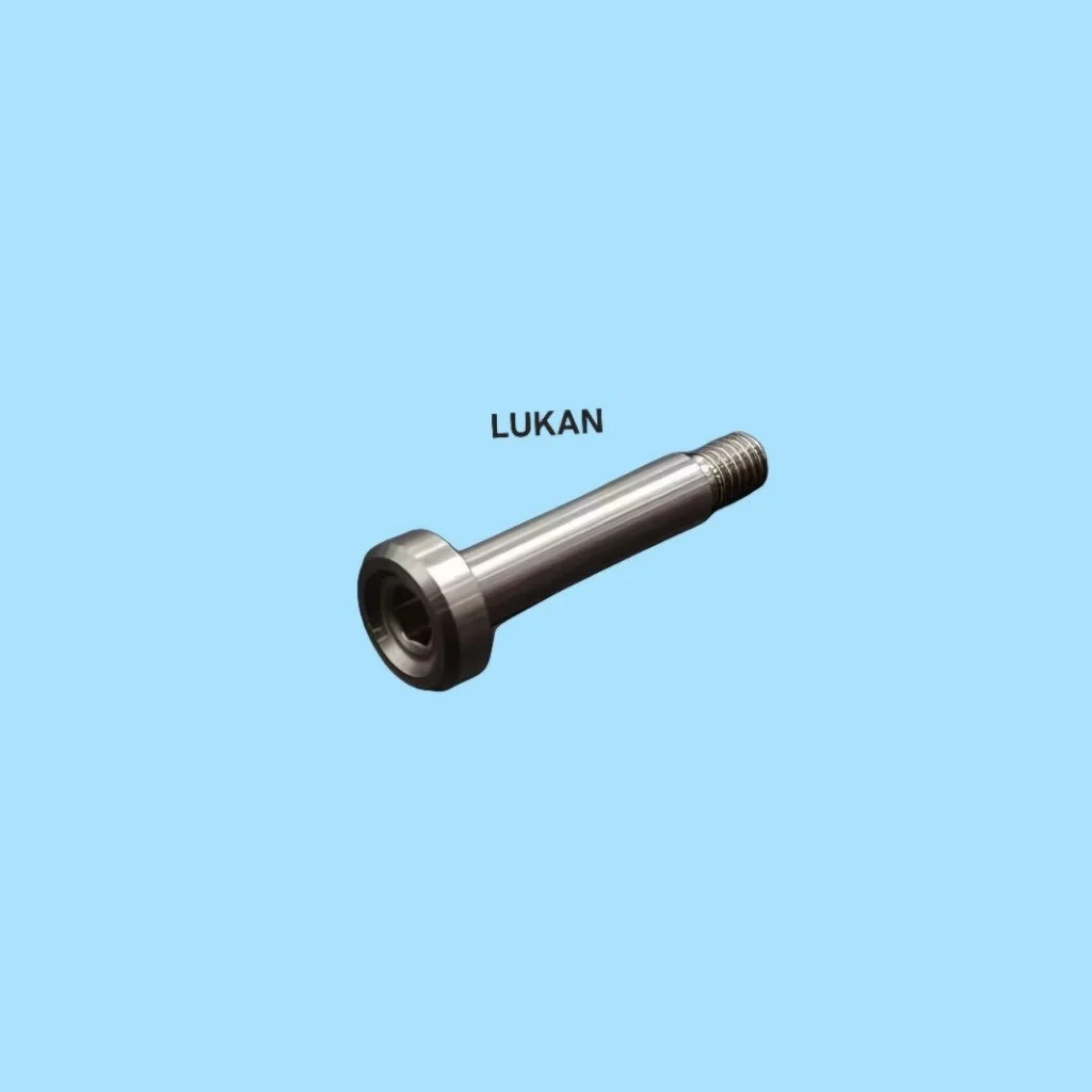 Ốc, bu lông lắp gáy nhựa đầu, bợ cổ xe DREAM inox salaza - Ảnh 4