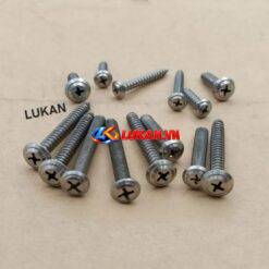 Bộ ốc, vít inox bắt nhựa võ đầu đèn, công tắc xe DREAM...