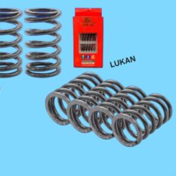 Bộ 4 lò xo nồi côn, ly hợp xe DREAM, WAVE 100, 110... độ 2.6mm TA