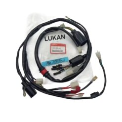 Bộ dây điện sườn chính xe DREAM Thái zin chính hãng Honda xịn