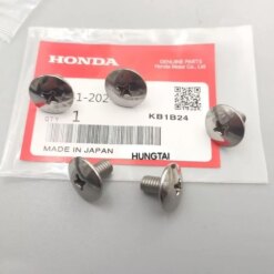 1 ốc vít 6x10 bắt nhựa dàn áo xe WAVE, FUTURE... zin