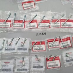 Full bộ ốc, bu lông lốc máy xe DREAM, WAVE... zin Honda Thái