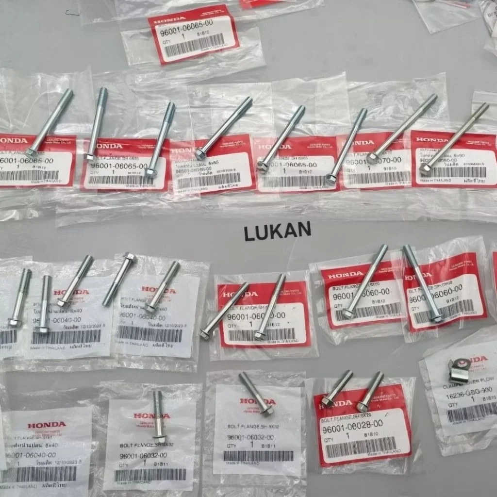 Full bộ ốc, bu lông lốc máy xe DREAM, WAVE... zin Honda Thái