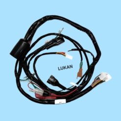 Bộ dây điện sườn chính xe CITI DAELIM....