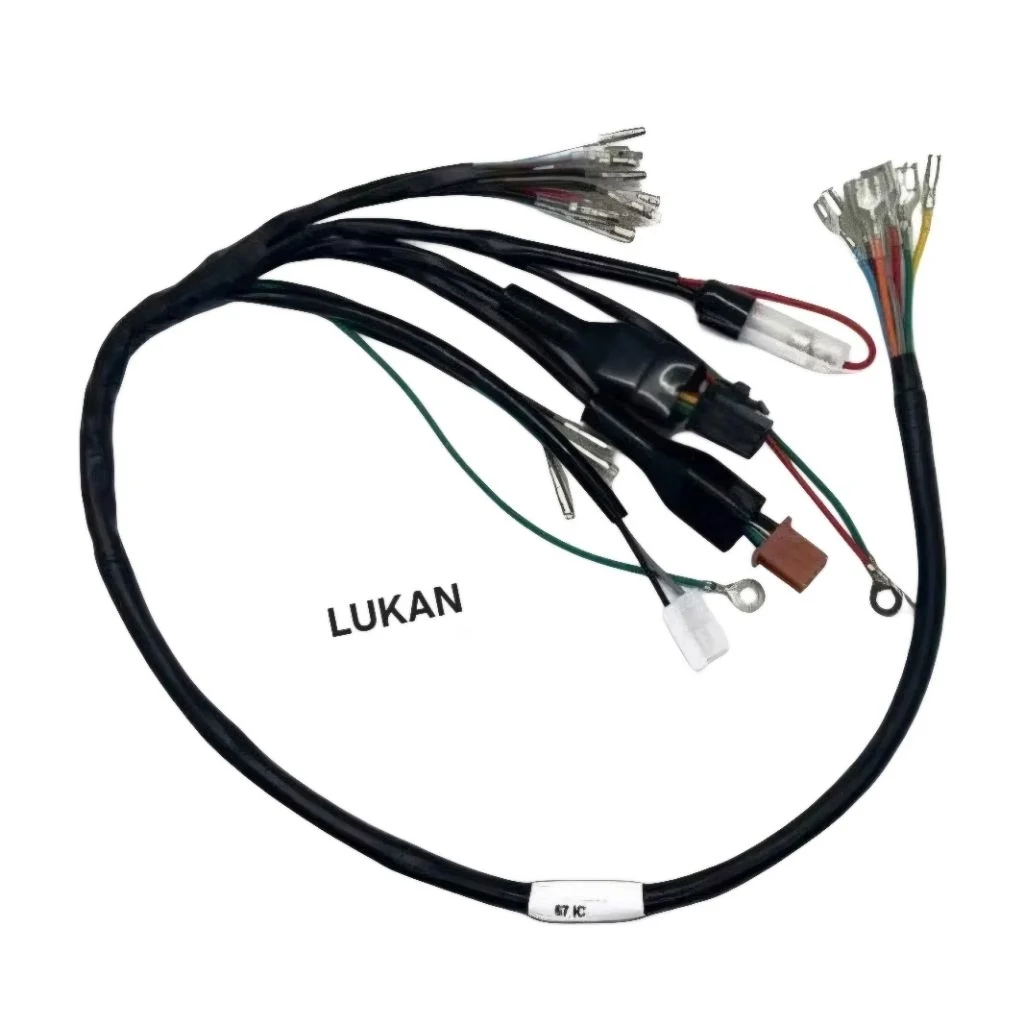 Bộ dây điện sườn chính xe 67 IC - Ảnh 2
