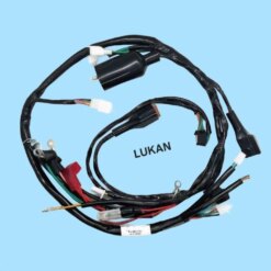 Bộ dây điện sườn chính xe FUTURE TQ IC 5C