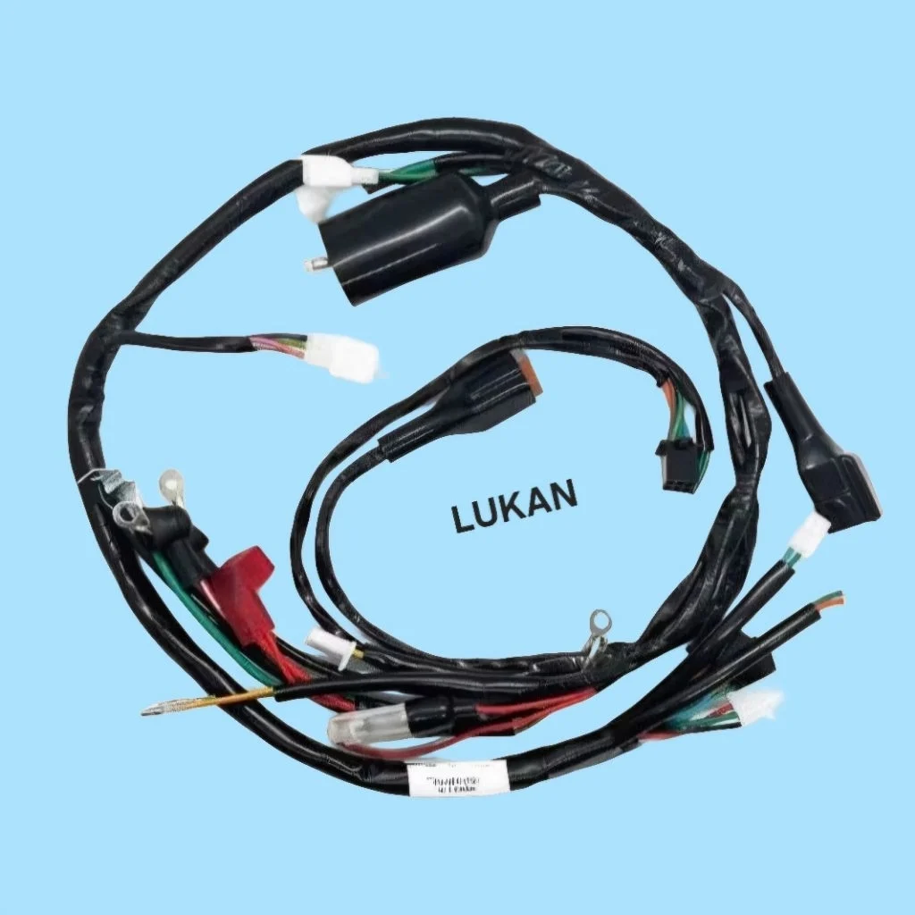 Bộ dây điện sườn chính xe FUTURE TQ IC 5C - Ảnh 3