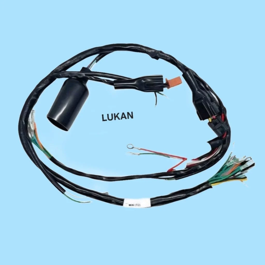 Bộ dây điện sườn chính xe WIN - Ảnh 3