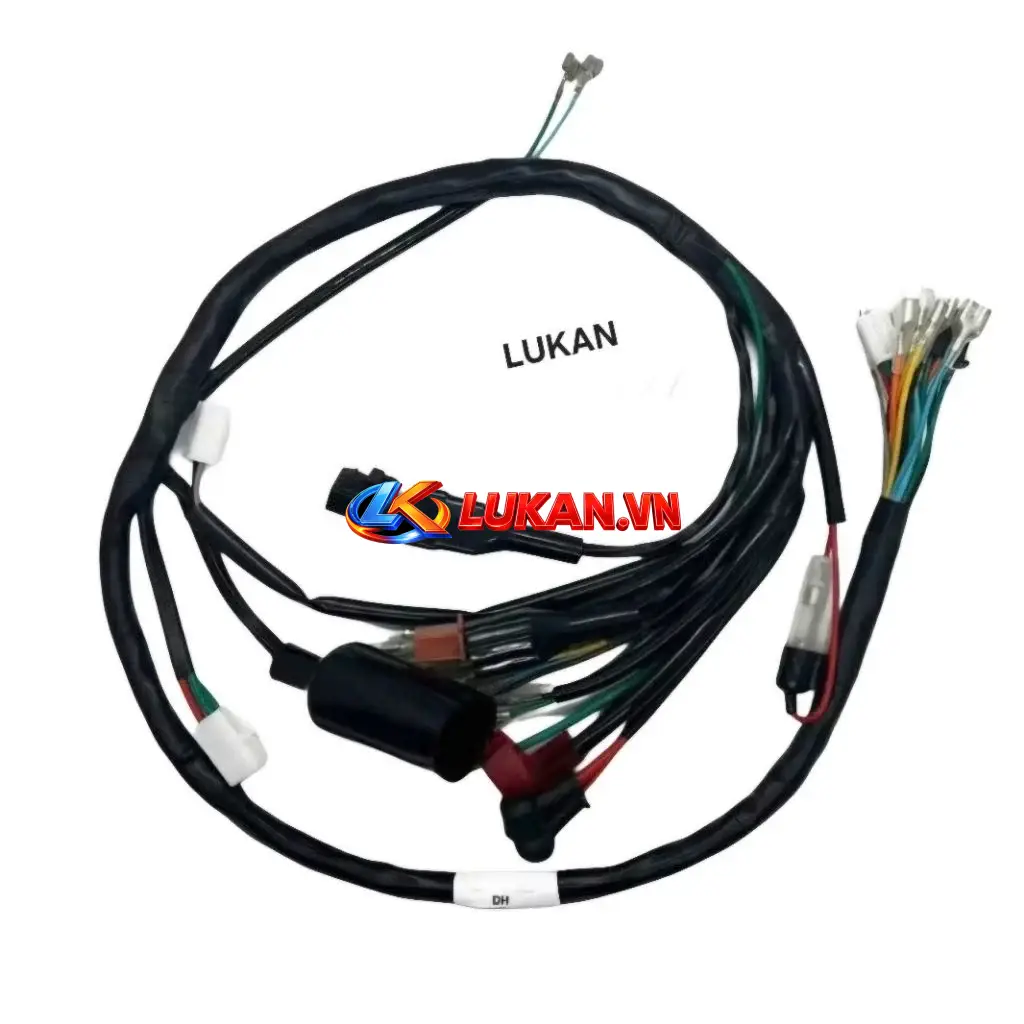 Bộ dây điện sườn chính xe DH....