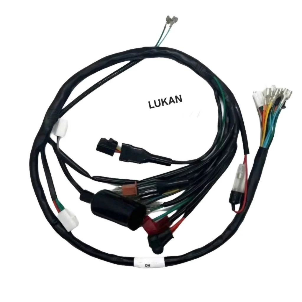 Bộ dây điện sườn chính xe DH.... - Ảnh 2