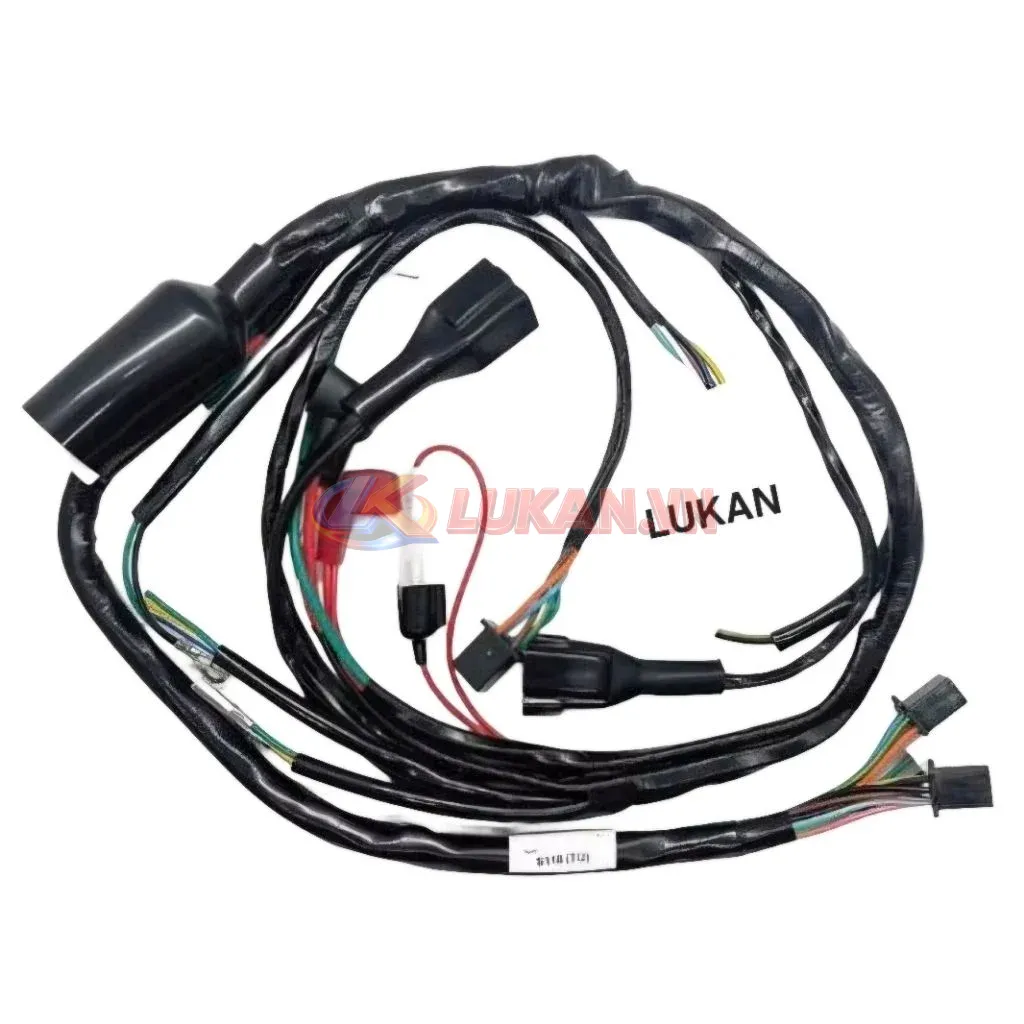 Bộ dây điện sườn chính xe WAVE S110 TQ.... - Ảnh 3