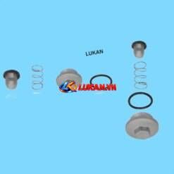 Bộ ốc lò xo, nắp xã lưới lọc, lốc bơm nhớt rời DREAM, WAVE...