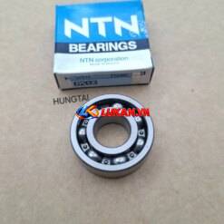 Vòng bi, bạc đạn trục cốt số, nhông tải DREAM, WAVE, FUTURE.... NTN 6203