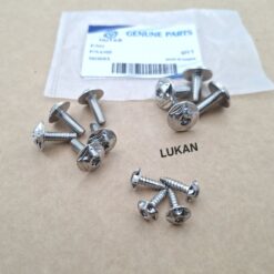 Bộ 13 ốc lục giác bông, vít áo inox xe DREAM....