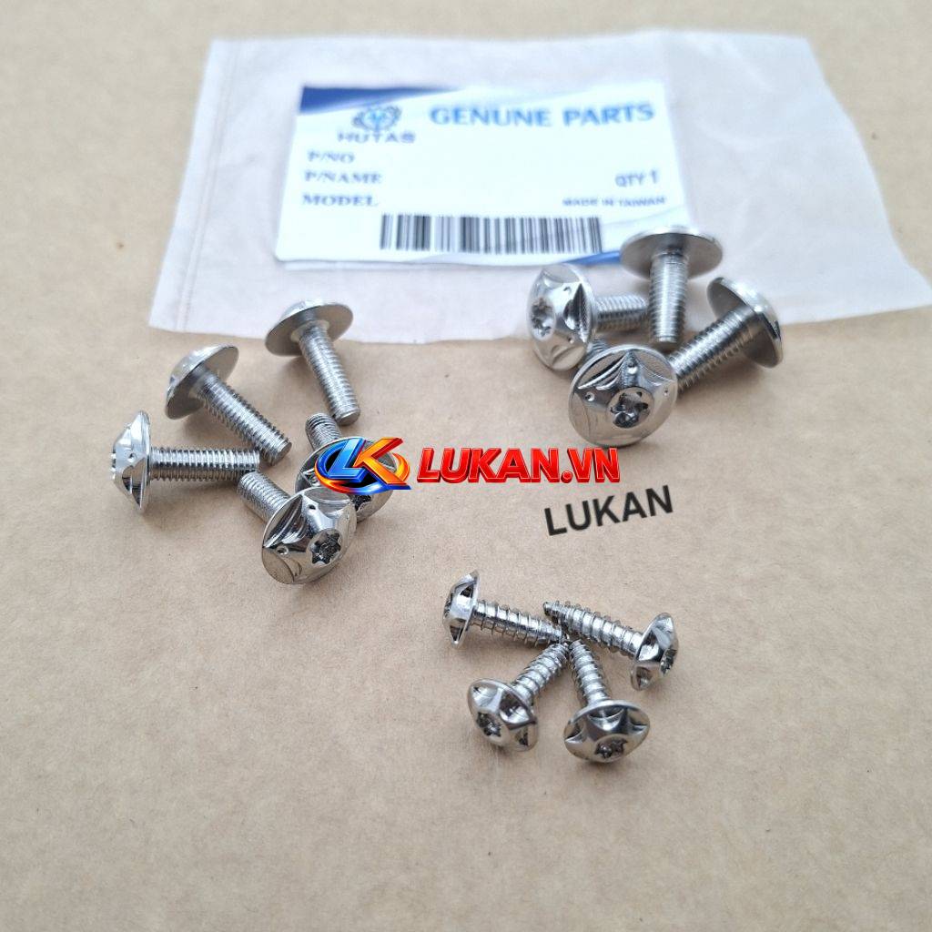 Bộ 13 ốc lục giác bông, vít áo inox xe DREAM....