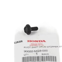 Ốc, bu lông bắt bông heo số FUTURE 2, NEO, MẬP, LED 125... zin 90022-MG8-000