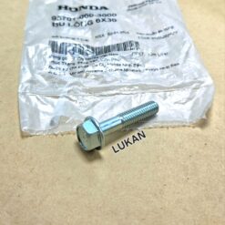 Ốc, bu lông 6x30 đầu 10 xe DREAM, WAVE, FUTURE... zin chính hãng 95701-060-3000