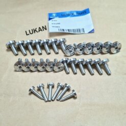 Bộ 31 ốc vít dàn áo inox CNC xe WINNER 150.... lục giác bông